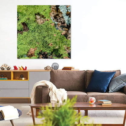family room displaying round lichen 24x24 large photo art