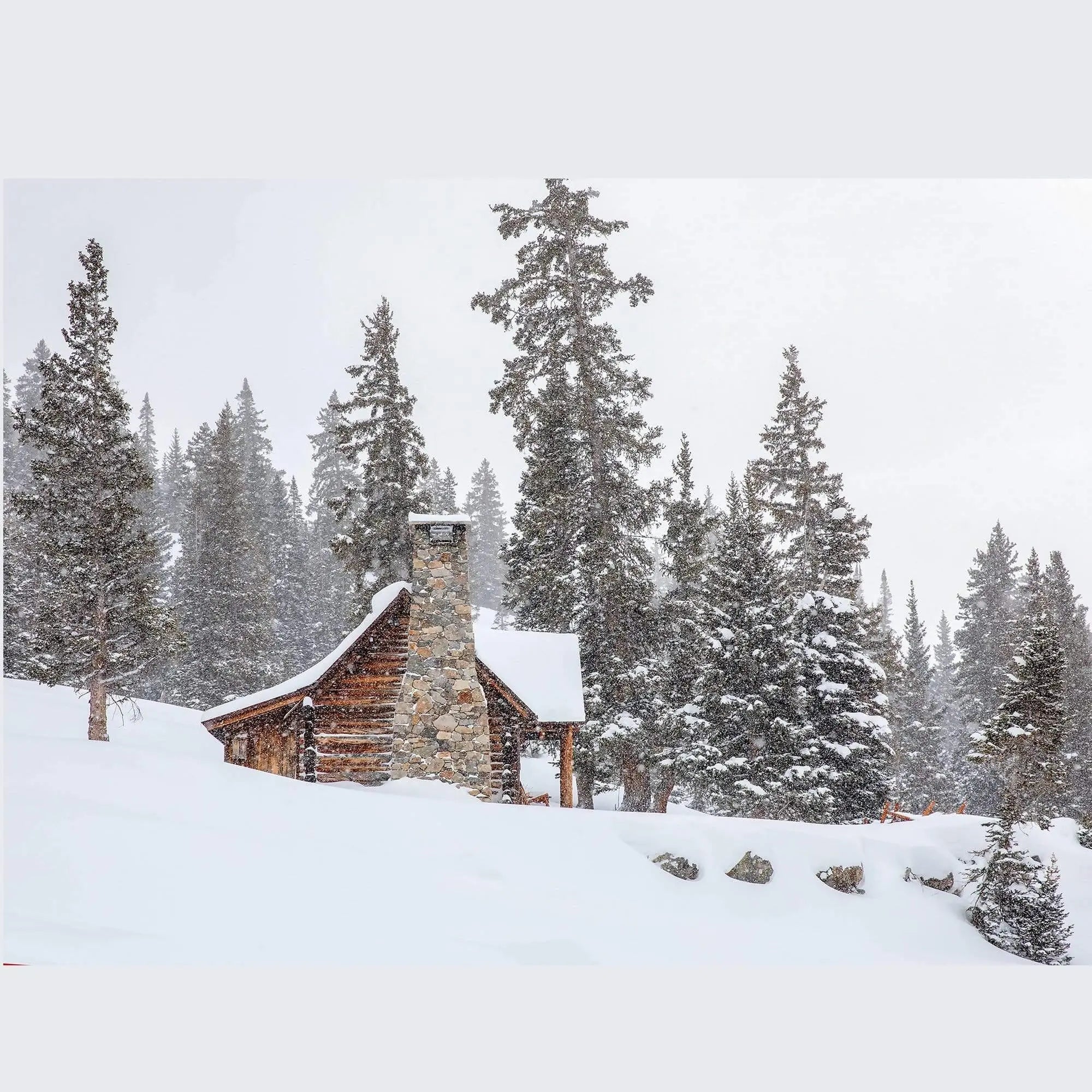 Fine art photograph of a snow-covered wooden cabin near Kebler Pass, Colorado, surrounded by tall pines during a winter storm — serene, quiet mountain scenery.