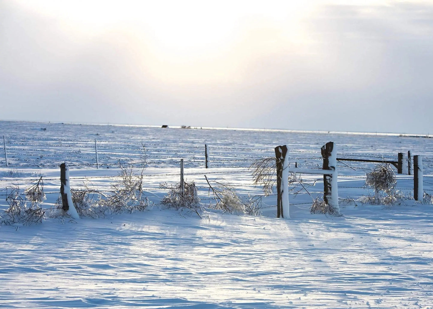 Rustic Winter Farming Greeting Note Card Lisa Blount Photography