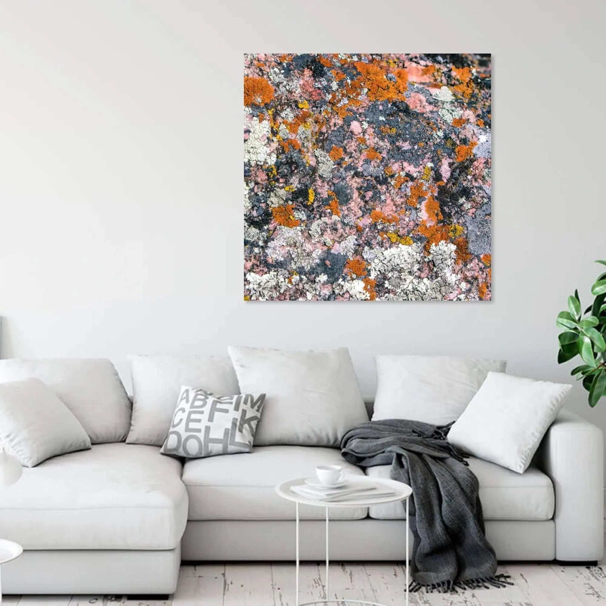 Abstract fine art photography of pastel colored lichen hanging on wall by Lisa Blount