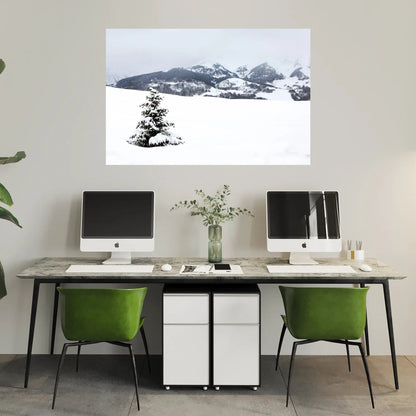small but fierce lonely cedar tree fine art photography displayed on wall over desks