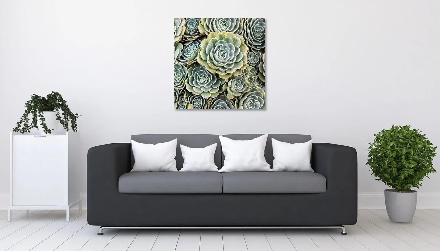 Green succulent square wall art hanging above a modern black sofa in a minimalist white living room.