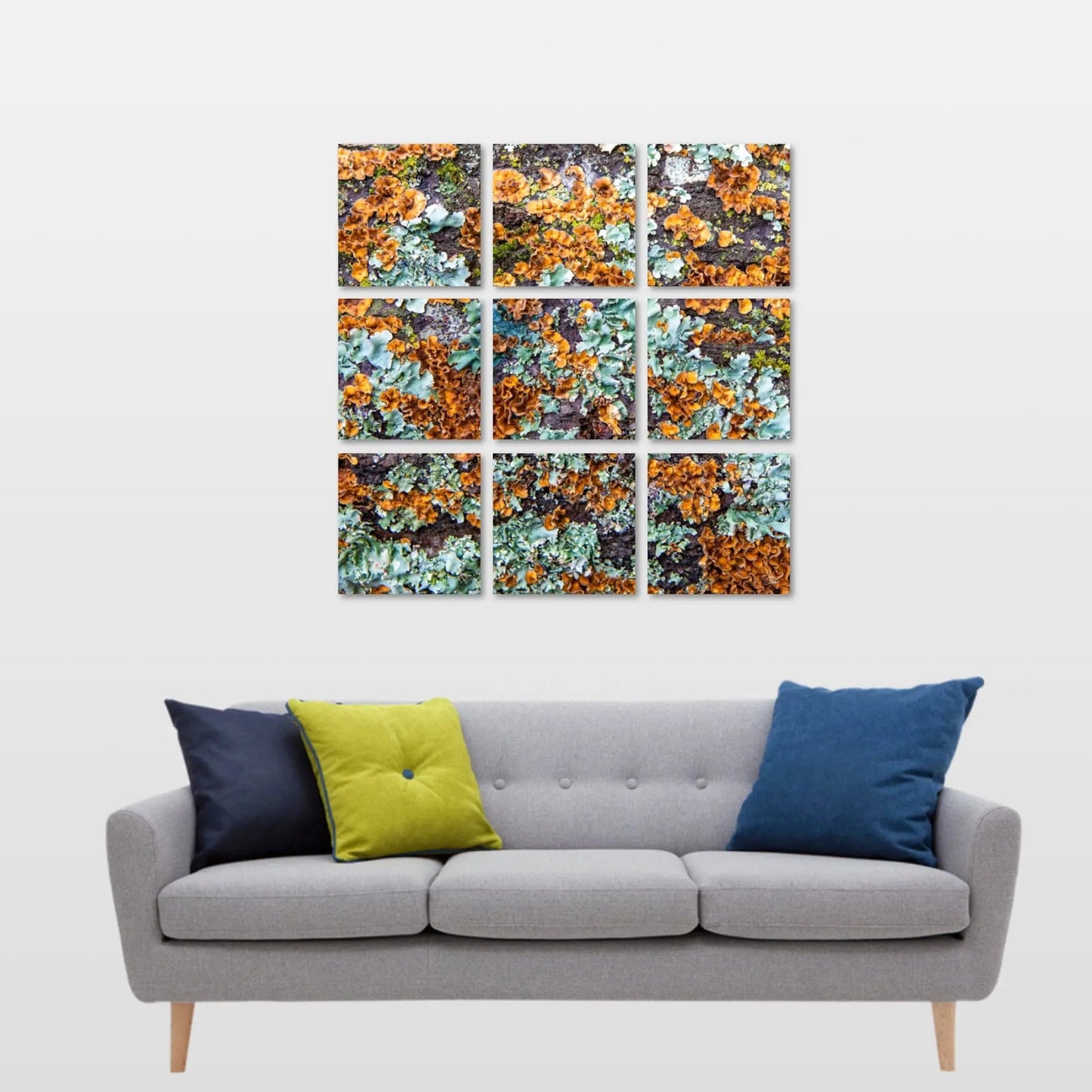 9 piece fine art grid lichen green rust Lisa Blount Photography