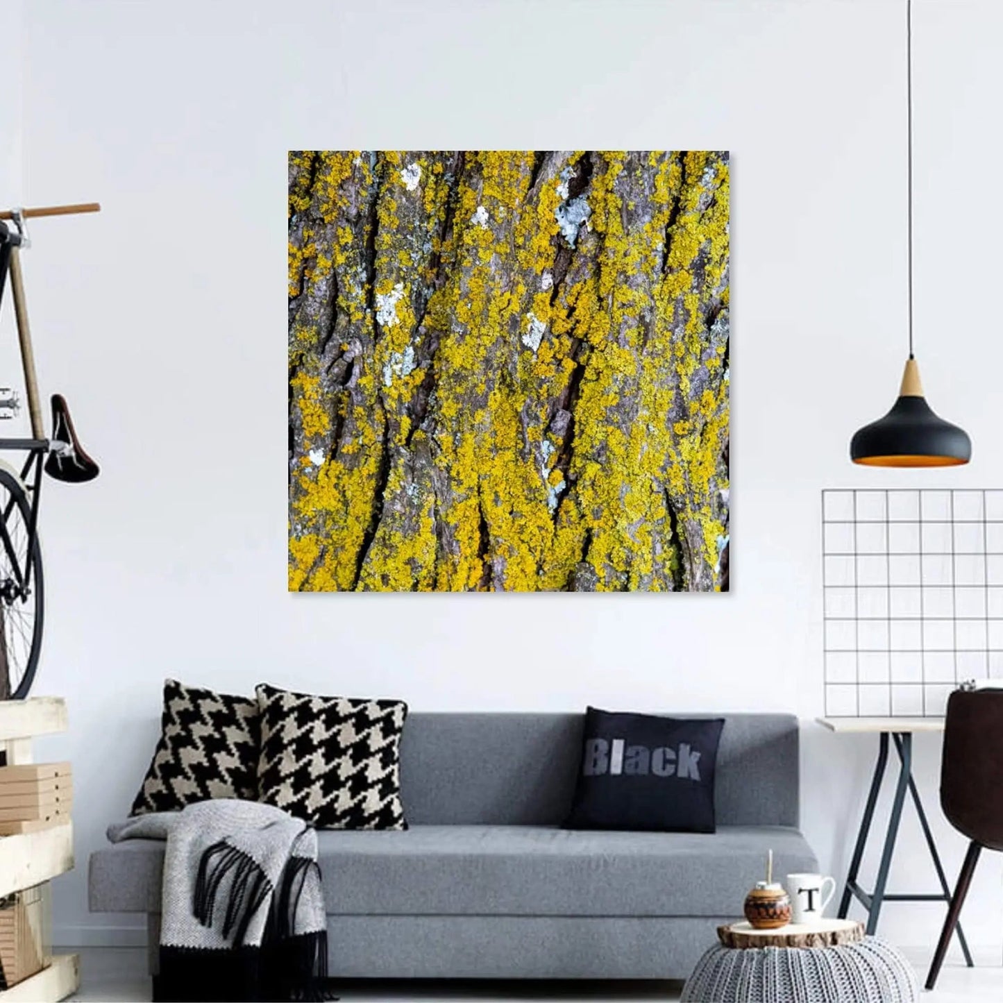 Yellow lichen art displayed on wall