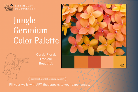 color of coral fire jungle geranium flower color palette