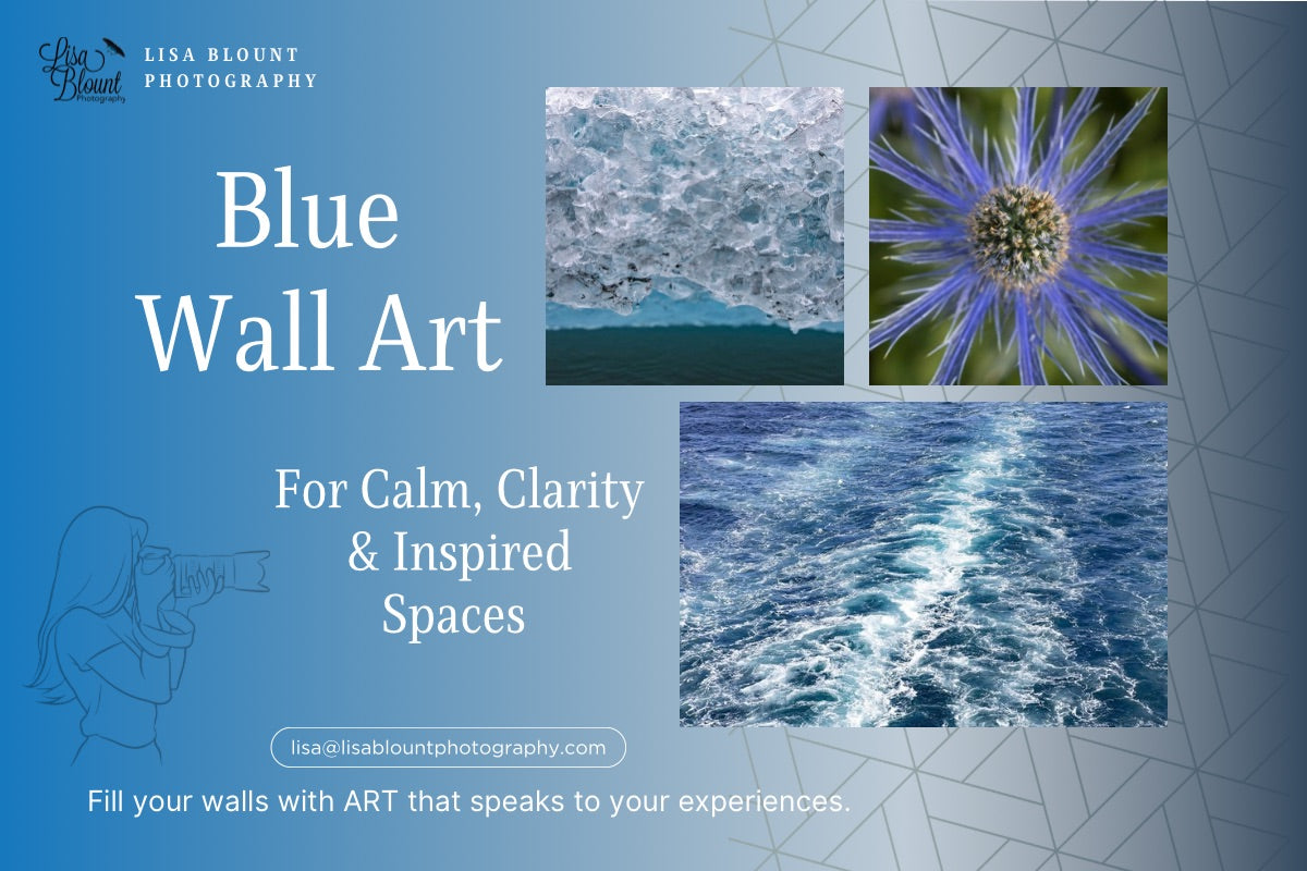 Blue wall art collage featuring ocean, floral, and abstract nature photography—calming blue tones styled for modern interiors.