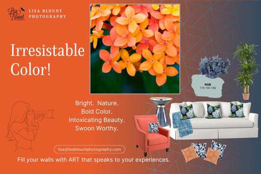 Bright coral moodboard featuring art of small coral flowers from St Lucia