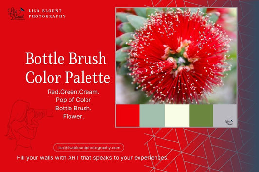 Embrace the Vibrant Red Color Palette of Bottle Brush Flowers