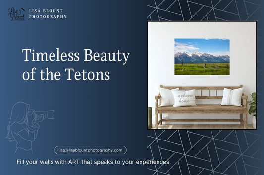 Grand Teton National Park - timeless beauty with iconic teton in background and historic wooden fence in the foreground - large fine art wall decor