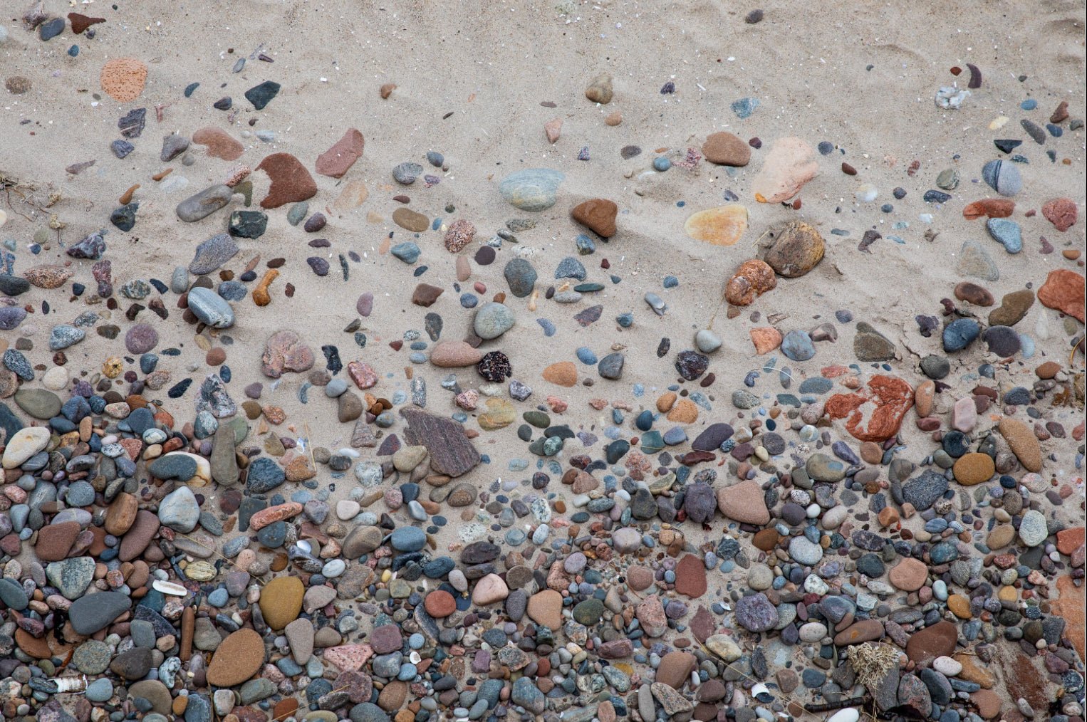Scattered Jewels of Nairn: Discovering Beauty in the Smallest Details