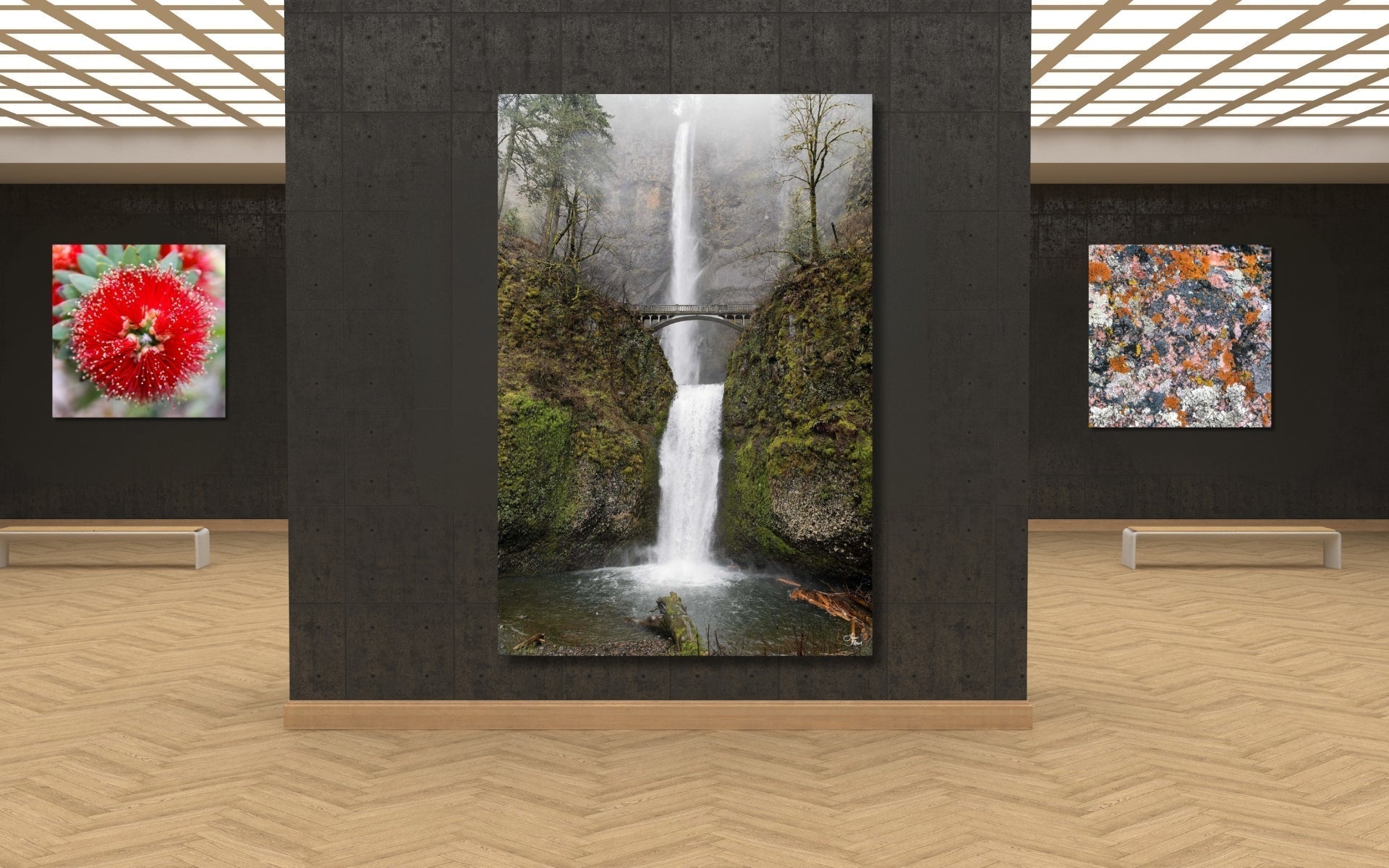 Modern gallery with three hanging fine art photography prints showing acrylic and metal wall art finish options.