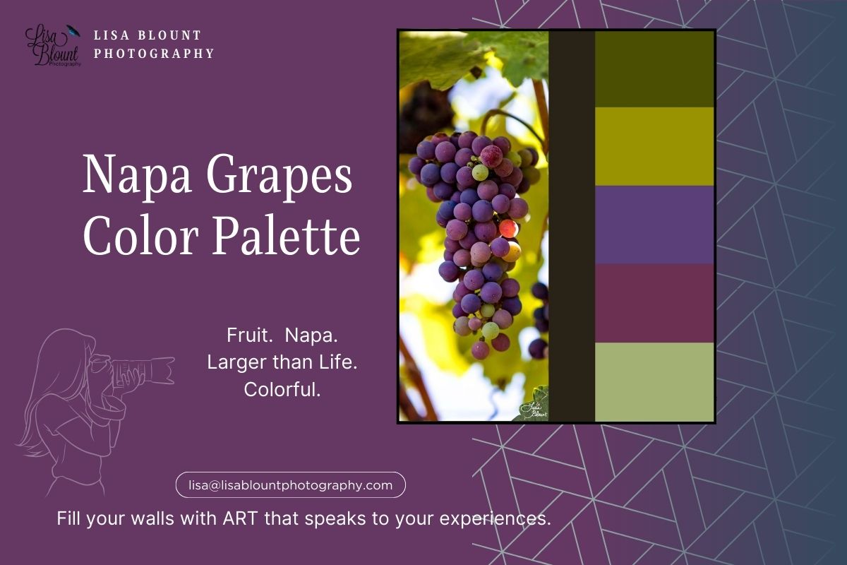 Napa Grapes color palette of purple and green fine art wall decor Lisa Blount Photography
