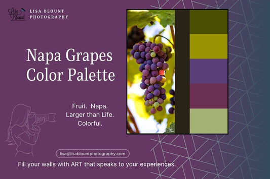 Napa Grapes color palette of purple and green fine art wall decor Lisa Blount Photography