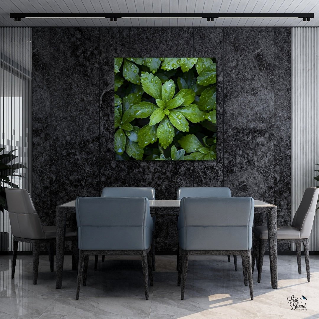 Choosing Biophilc wall art for your space - bring nature inside