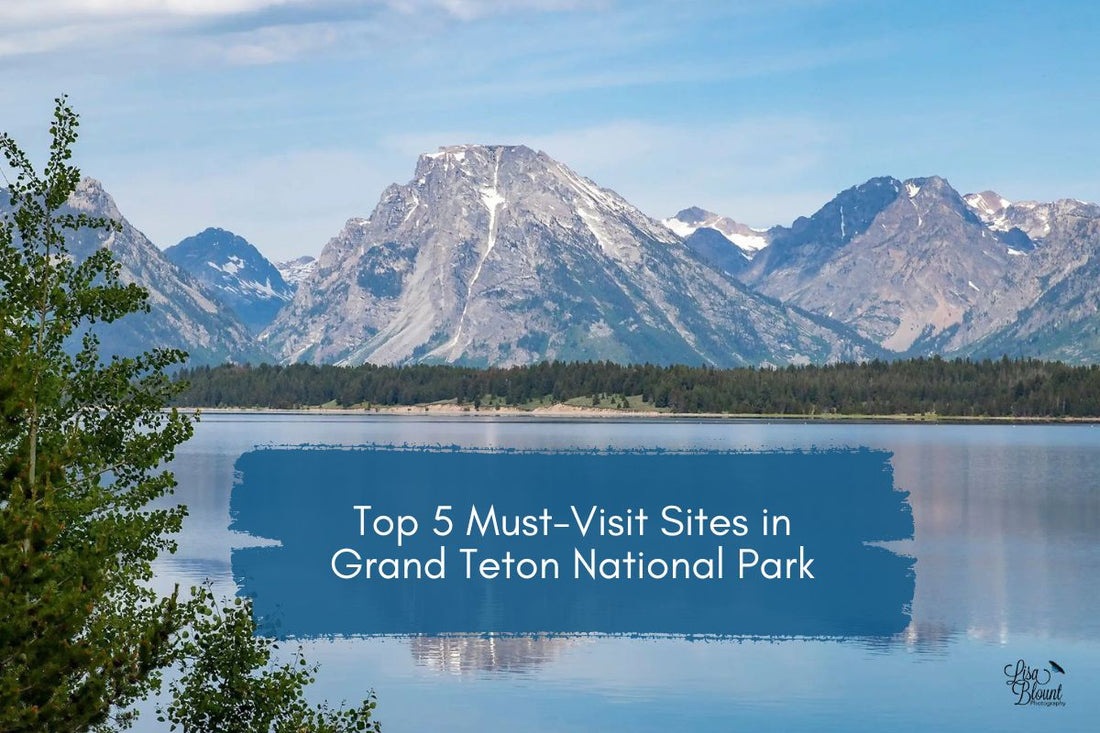 Top 5 must-visit places in grand teton national park - picture of jackson lake wyoming