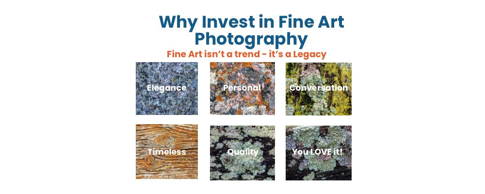Why invest in fine art photography?   Top 8 reasons by Lisa Blount 