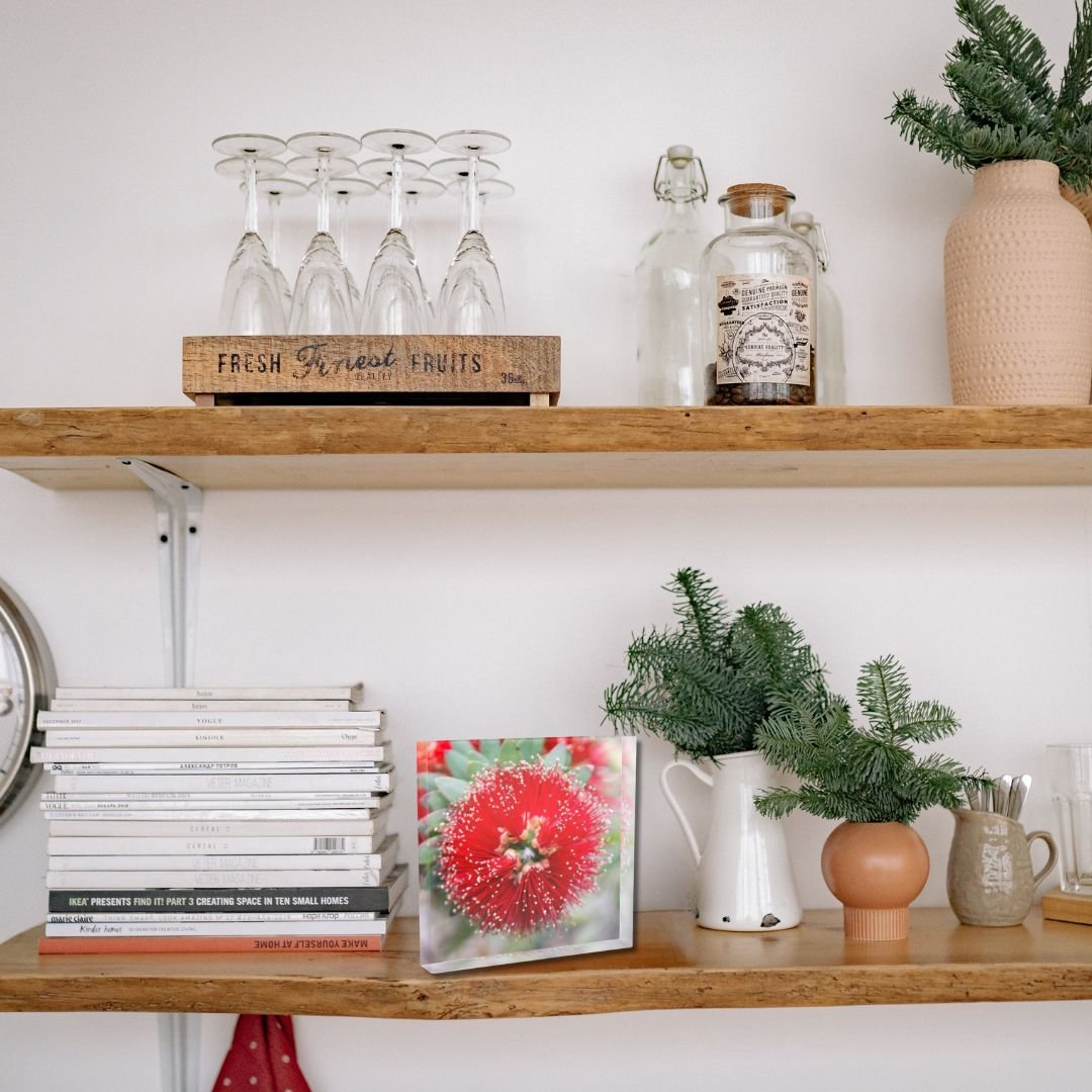 Floating shelves styled with small fine art, books, a plant, and simple decorative objects for a clean shelf decor idea.