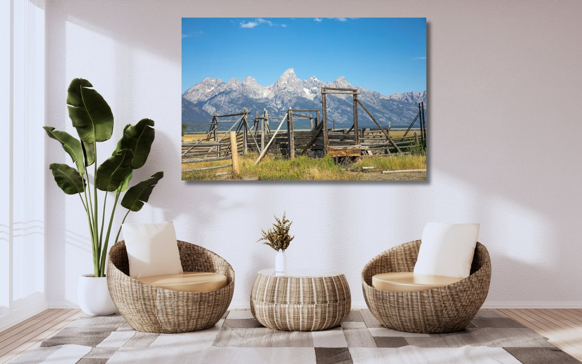 collection of large Oversized fine art photography displayed as large wall art in a modern living space