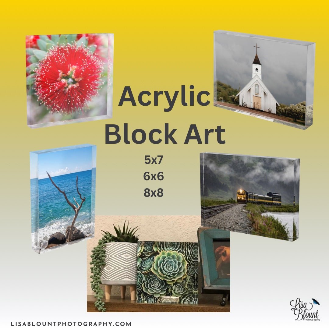 Acrylic block art display featuring small fine art photo blocks for display on shelves, mantle or desk.