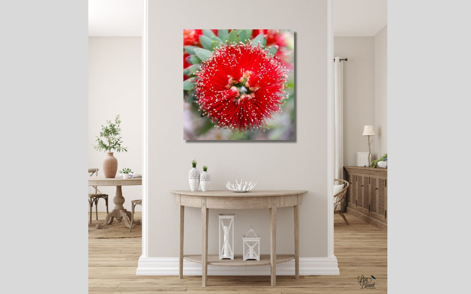 Red bottle brush flower fine art photography hanging on wall of mostly white living room