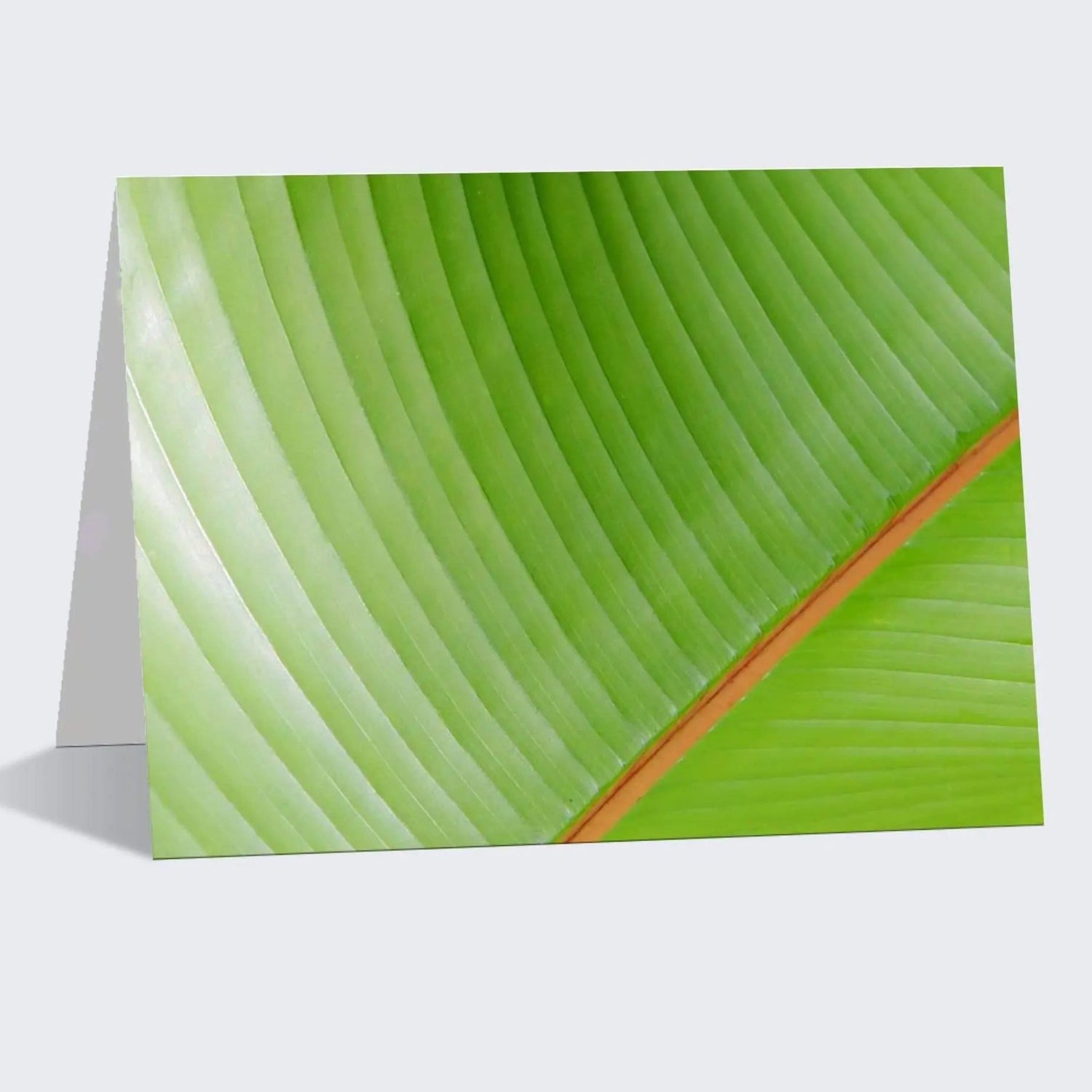 Banana leaf abstract fine art photography 5x7 linen note card customizable wording inside on large orders