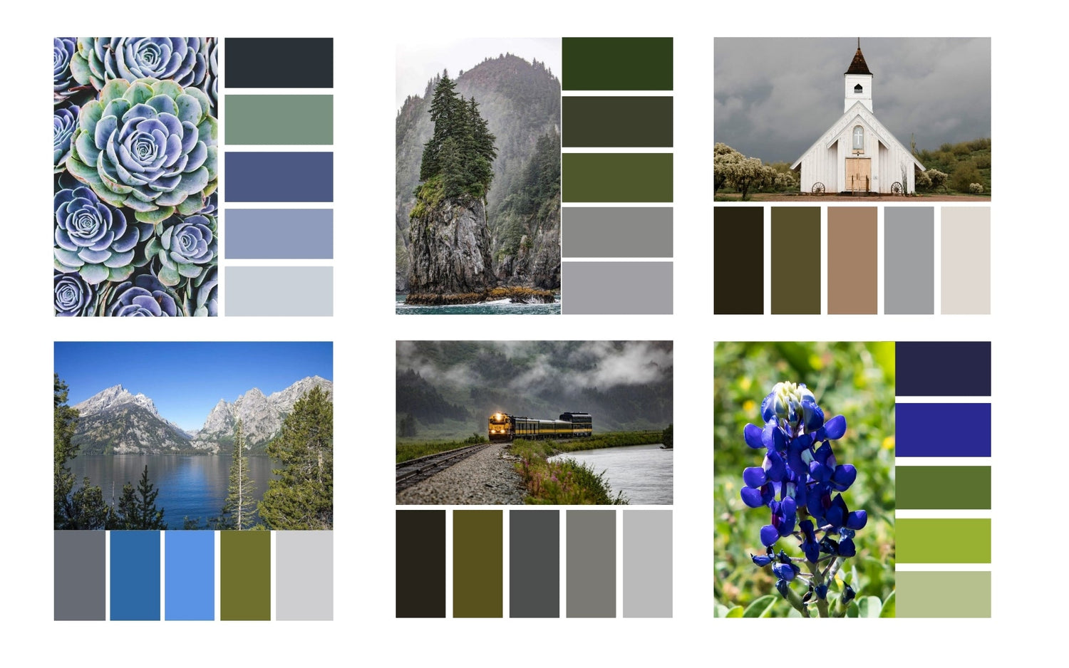 Collection of Art with Color Palette and Mood boards - Fine Art Photography wall decor - Lisa Blount
