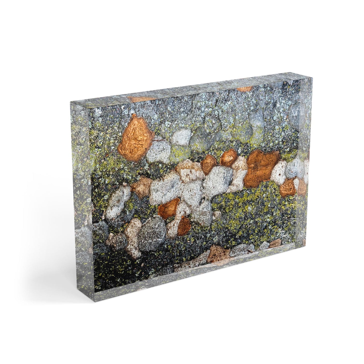 Angled view of the 7x5 DC Lichen acrylic block showing edge clarity and layered abstract lichen texture.