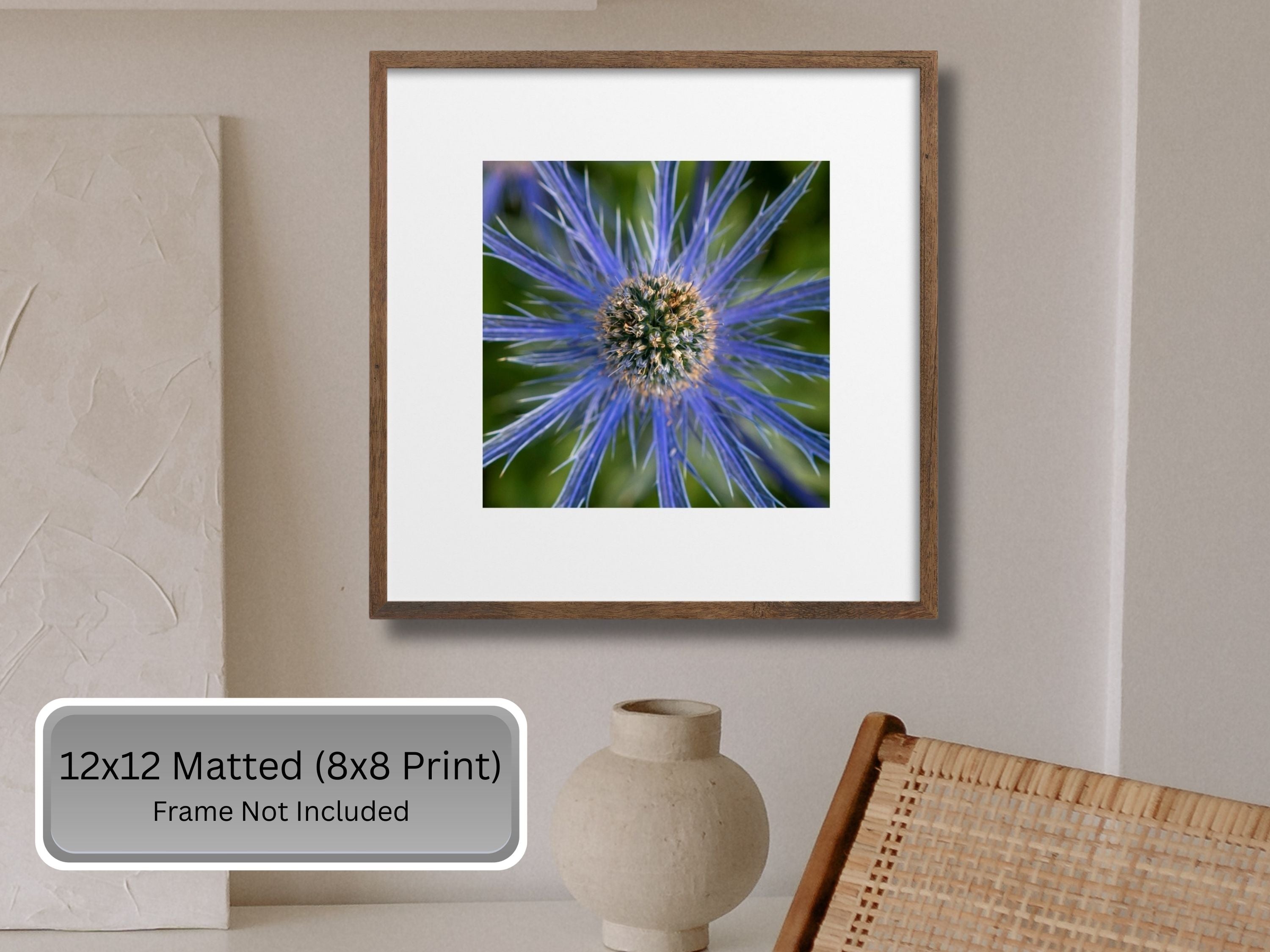 Framed print of a blue sea holly flower with text indicating print sizes and frame exclusion.