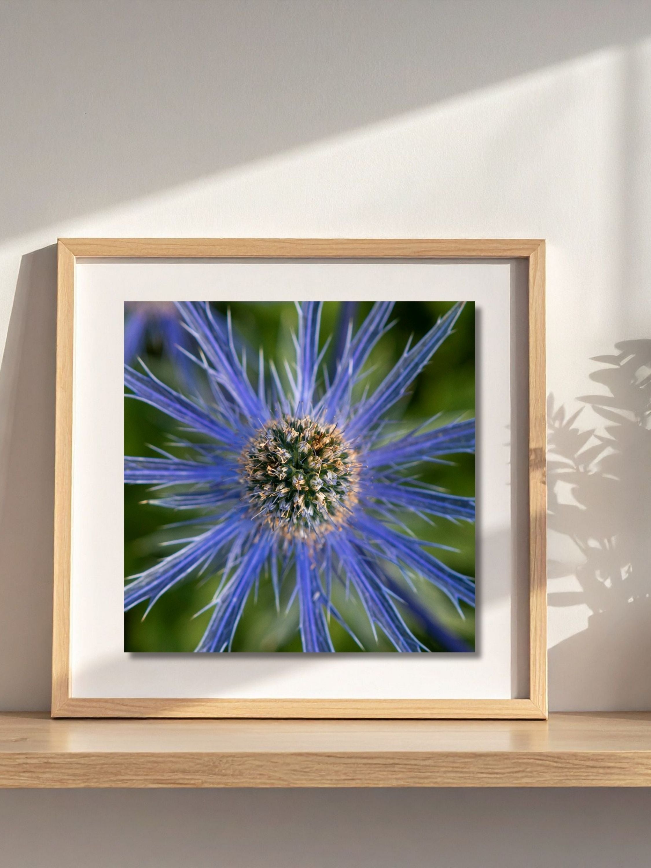 Framed blue sea holly art print resting on a wooden surface, modern neutral frame styled in a bright interior setting