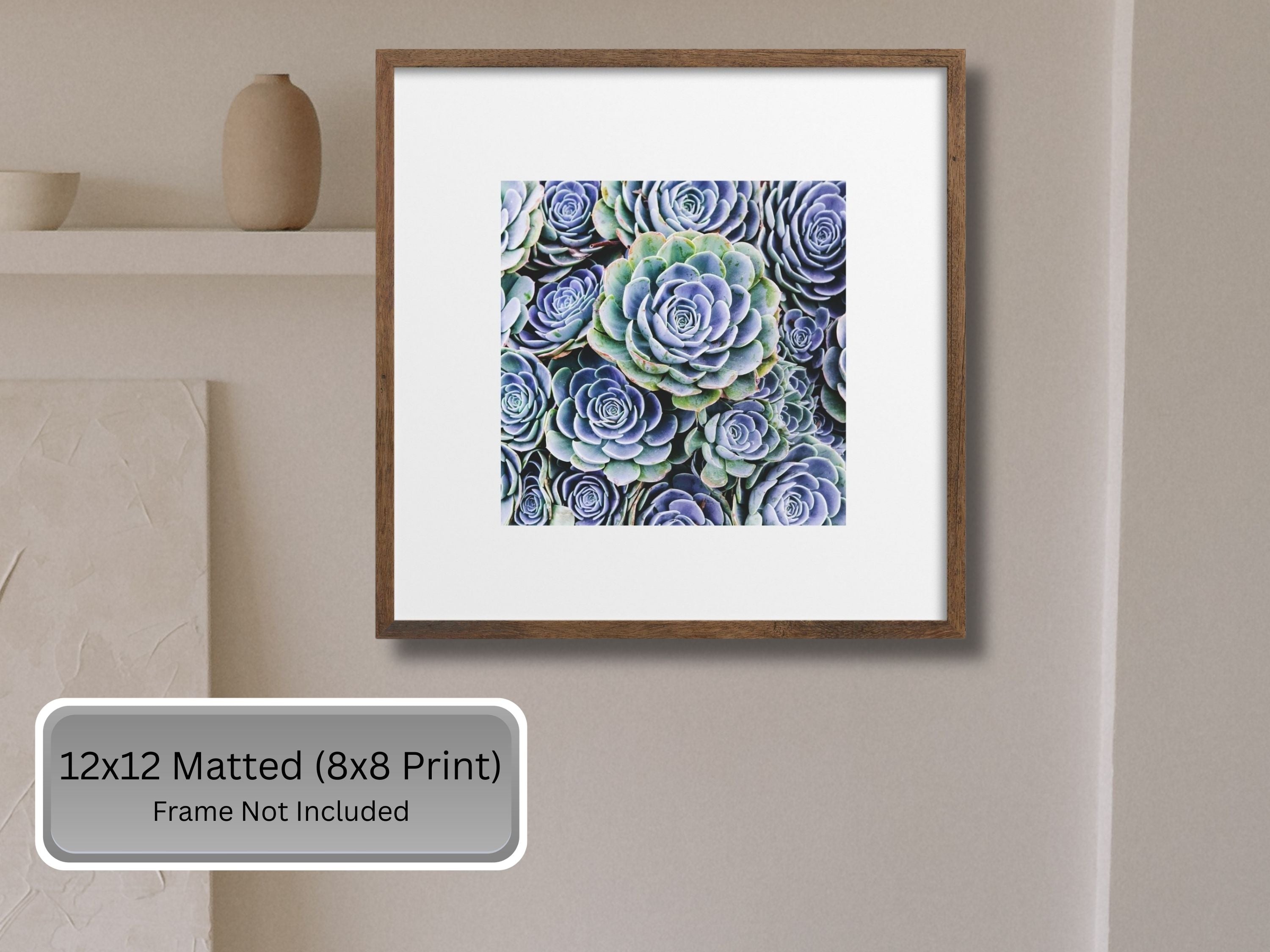 Framed print of a blue hen and chicks succulent with text indicating print sizes and frame exclusion.