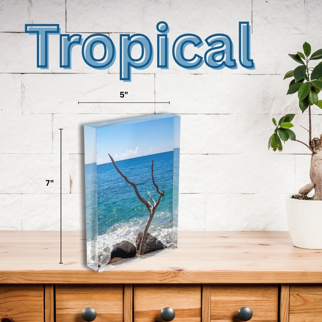 Tropical acrylic block of a lone tree trunk in front of the ocean in St Lucia.  Blue waters and a lone sailboat in the distance.  Small art packing a big punch in a 5x7 format.