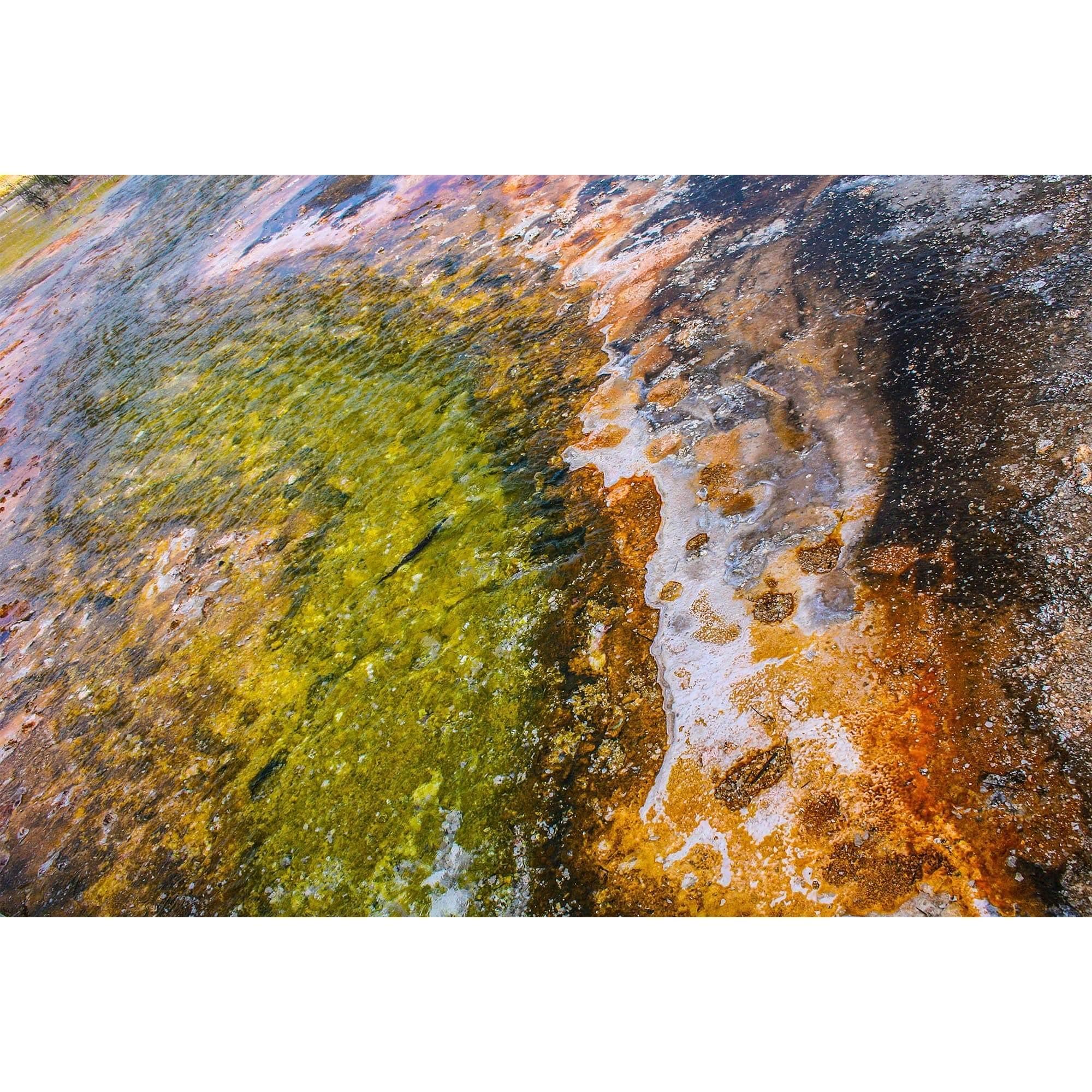 Green rust mudpot photo art decor wall by Lisa Blount