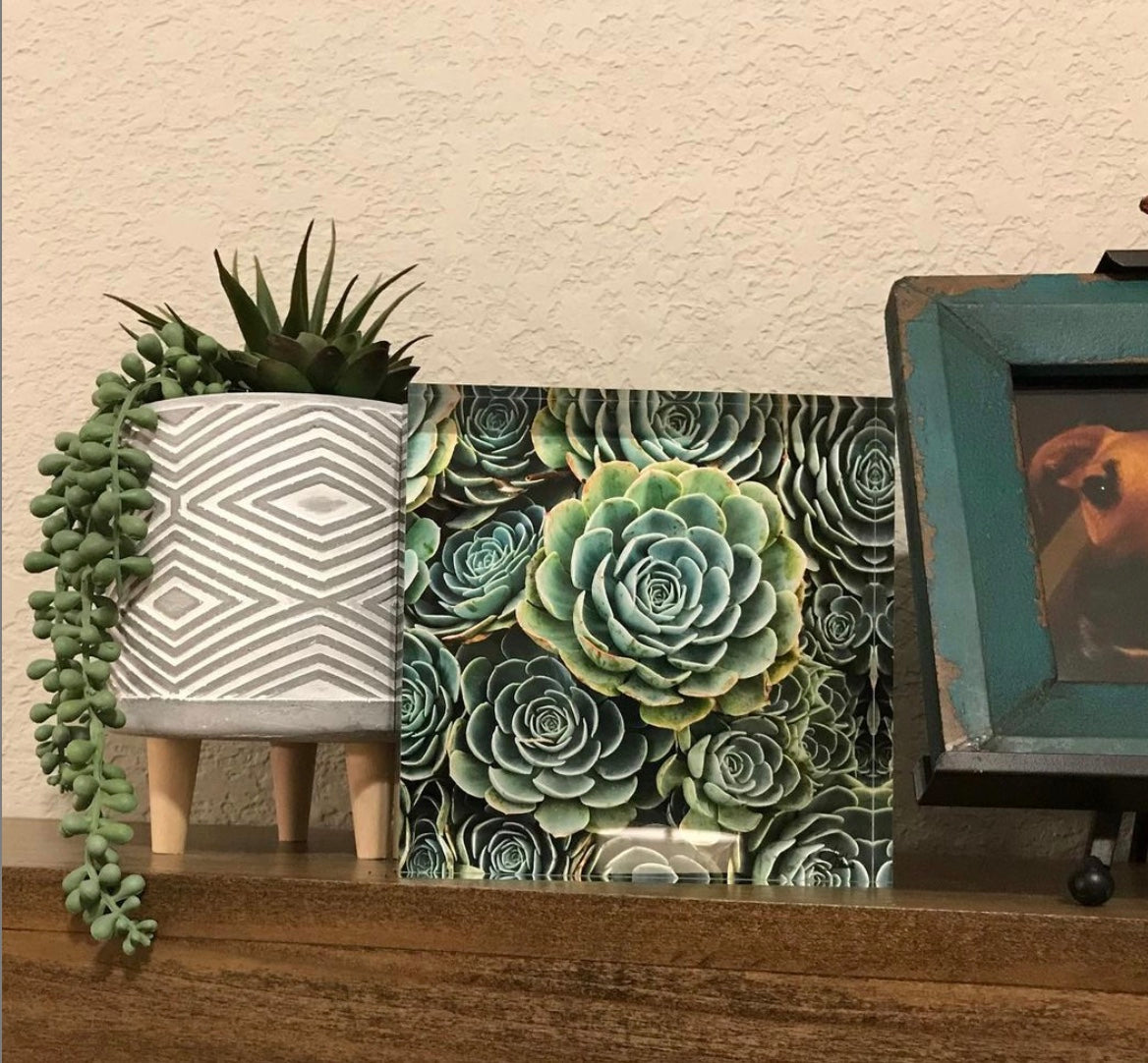 6×6 acrylic block of the Green Succulent artwork displayed on a mantle beside potted plants and framed decor.