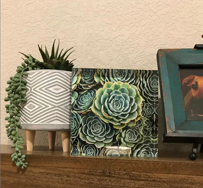 6x6 acrylic block featuring a fine art photograph of green hen and chicks succulents, elegantly displayed on a shelf. Surrounded by complementary decor, this piece adds a fresh and natural touch to the space, showcasing intricate details and vibrant colors