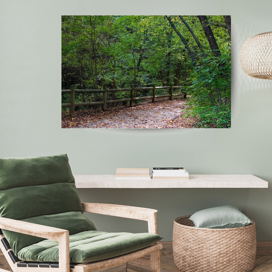 Acrylic wall art print showing a forest path in Gulley Park, Fayetteville, Arkansas, with green trees and a wooden fence, displayed above a console table in a styled living room with a green armchair, books, and a woven basket.