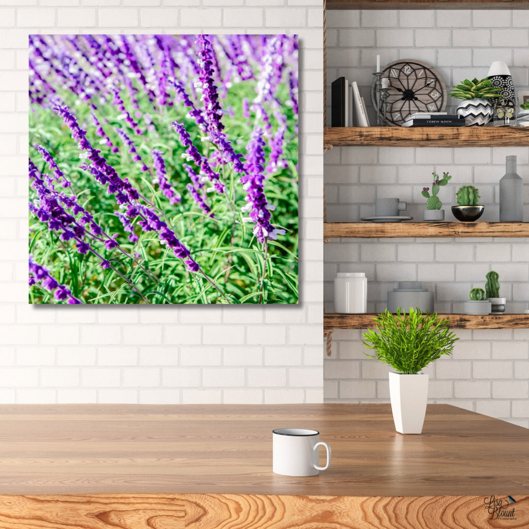 square art of purple lavender blooms hanging in bright white modern kitchen