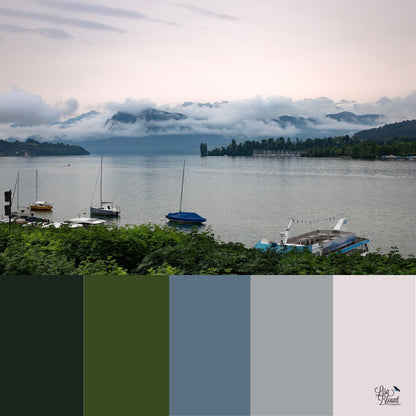 Color Palette of gray green and pink for Lake Lucerne morning time fine art 
