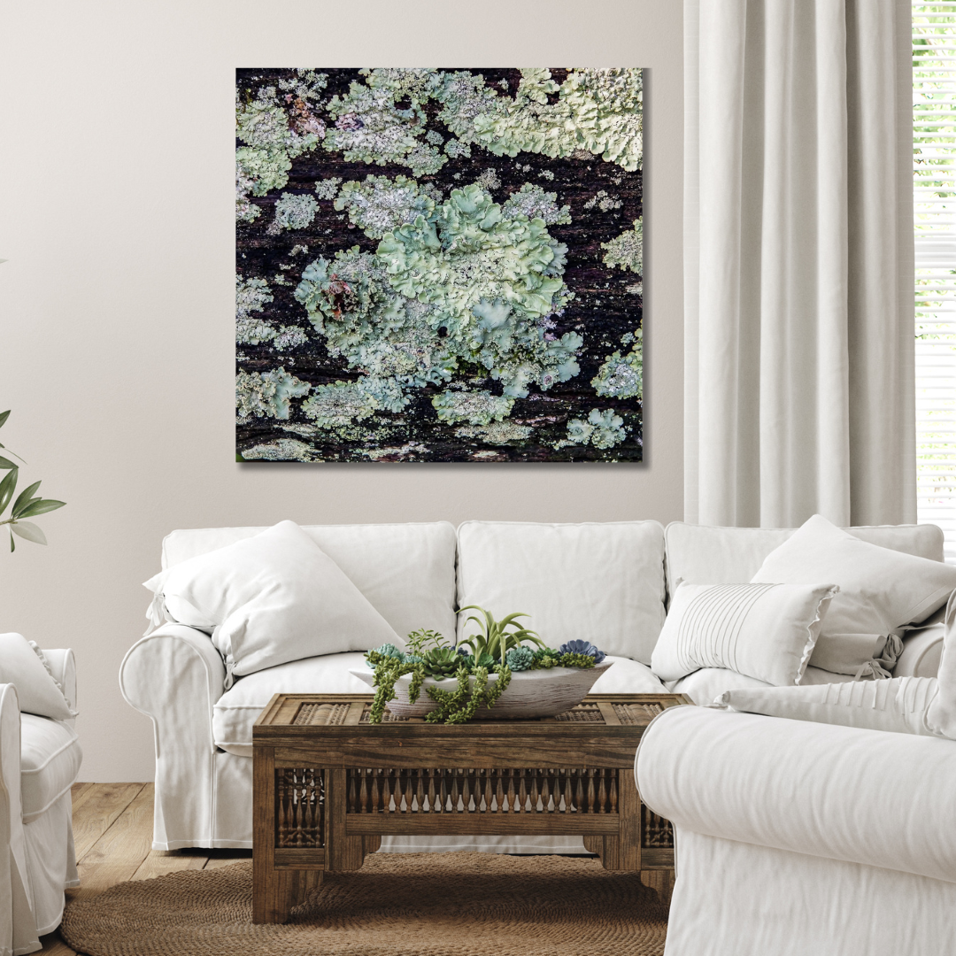 Lichen growing on dark wood fence rail turns into abstract fine art photography hanging in white living room.  Art by Lisa Blount photography