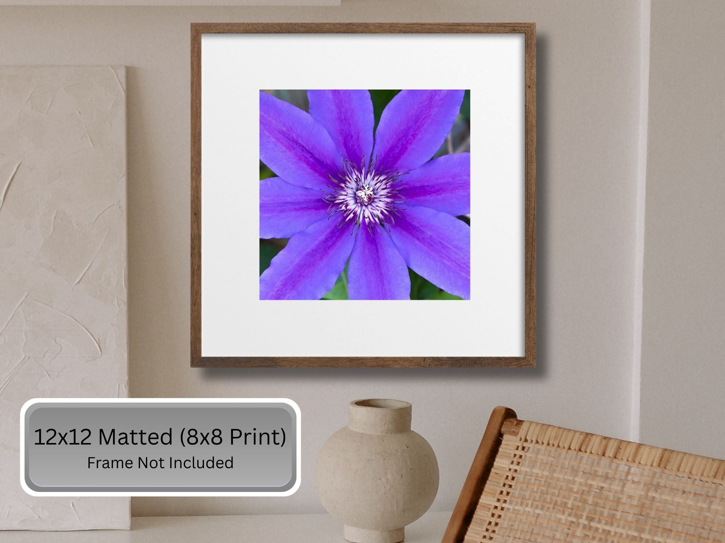 Framed print of a purple climatic flower with text indicating print sizes and frame exclusion.