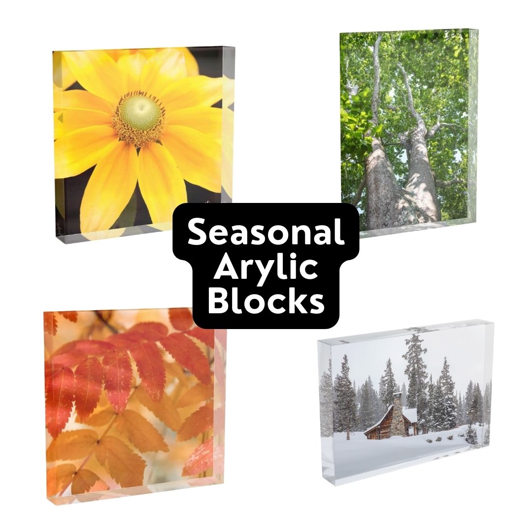 Four seasonal acrylic blocks with different images: a yellow flower, a forest, autumn leaves, and a snowy landscape.