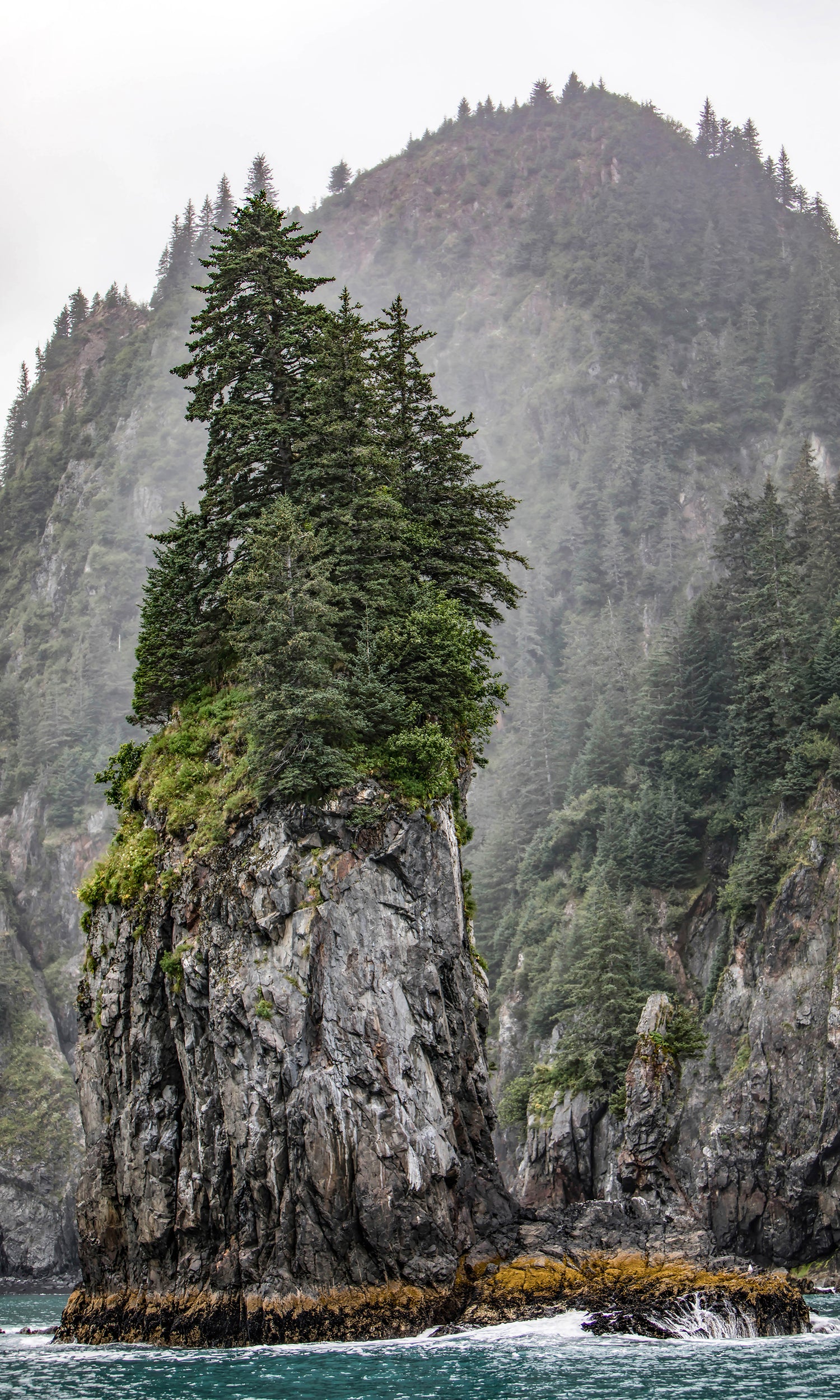Kenai Fjords Alaska Tree Rock Water Fine Art on Acrylic