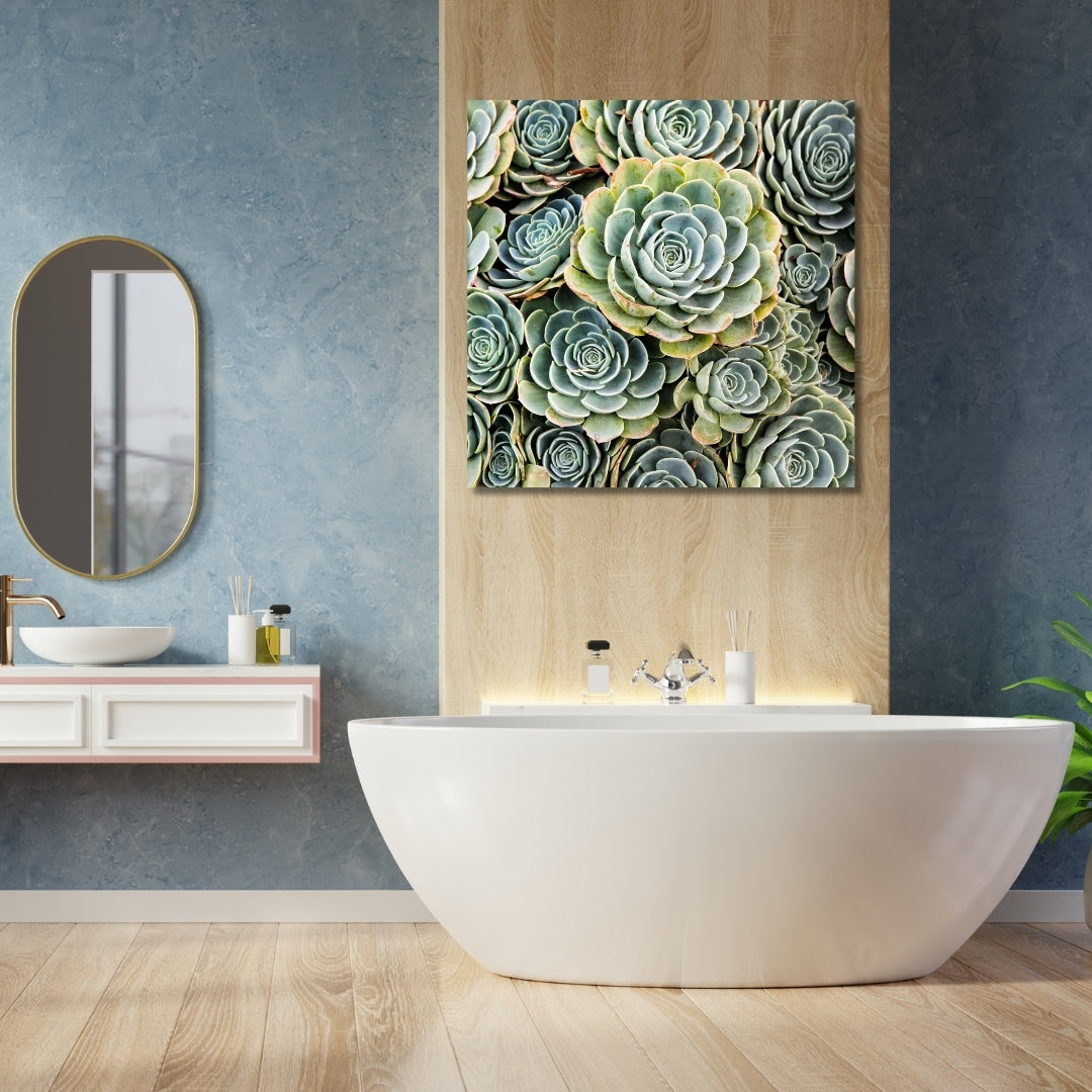 A fine art photograph of green hen and chicks succulents, elegantly displayed as wall decor in a modern bathroom. The vibrant greens and intricate details of the succulent art beautifully complement the serene blue walls, natural wood accents, and the minimalist white bathtub, creating a relaxing and sophisticated space.