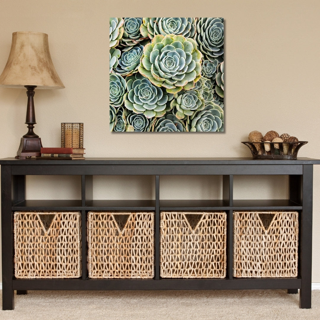 6×6 acrylic block of the Green Succulent artwork displayed on a mantle beside potted plants and framed decor.