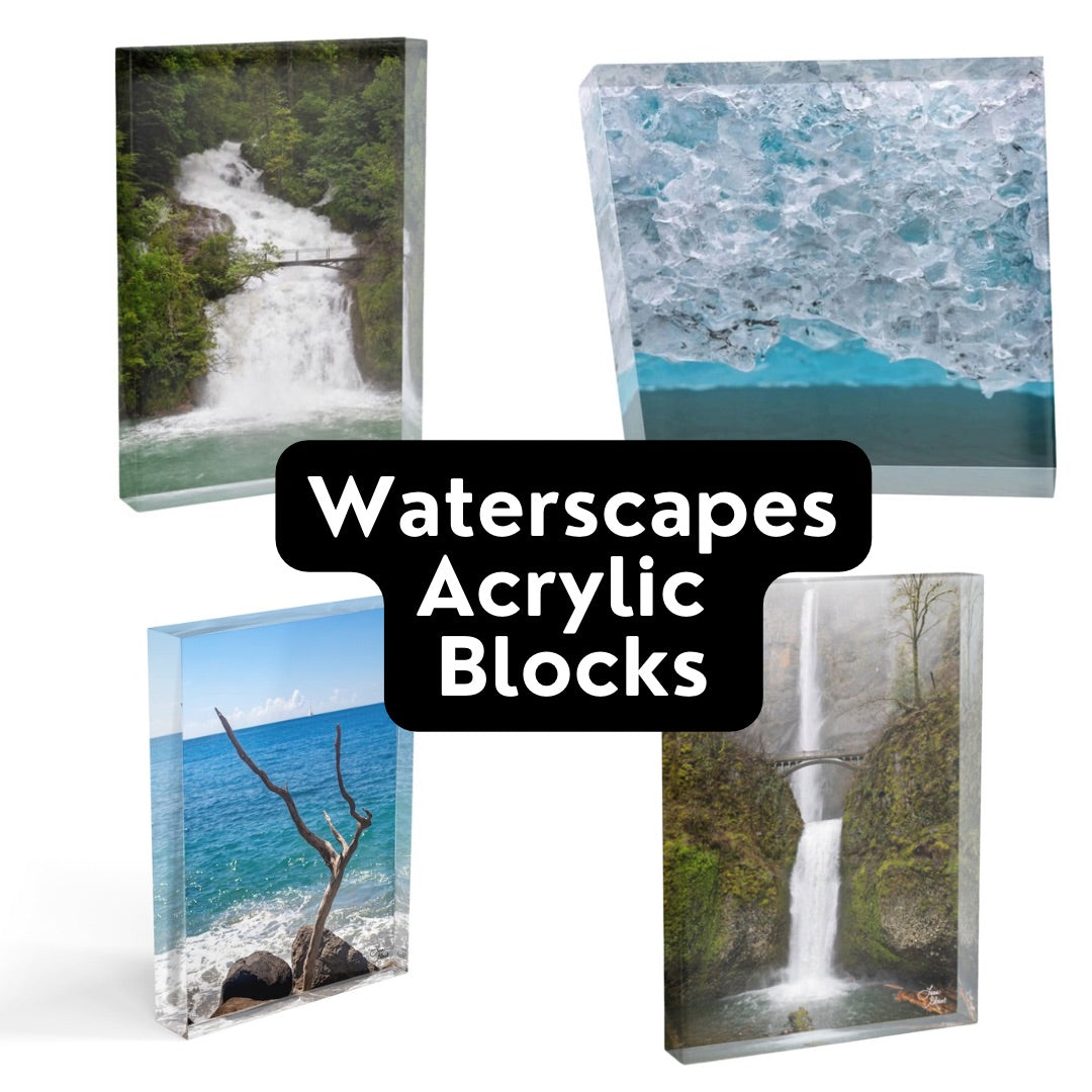 Four acrylic blocks with water-themed images - unique shelf and desk decor.
