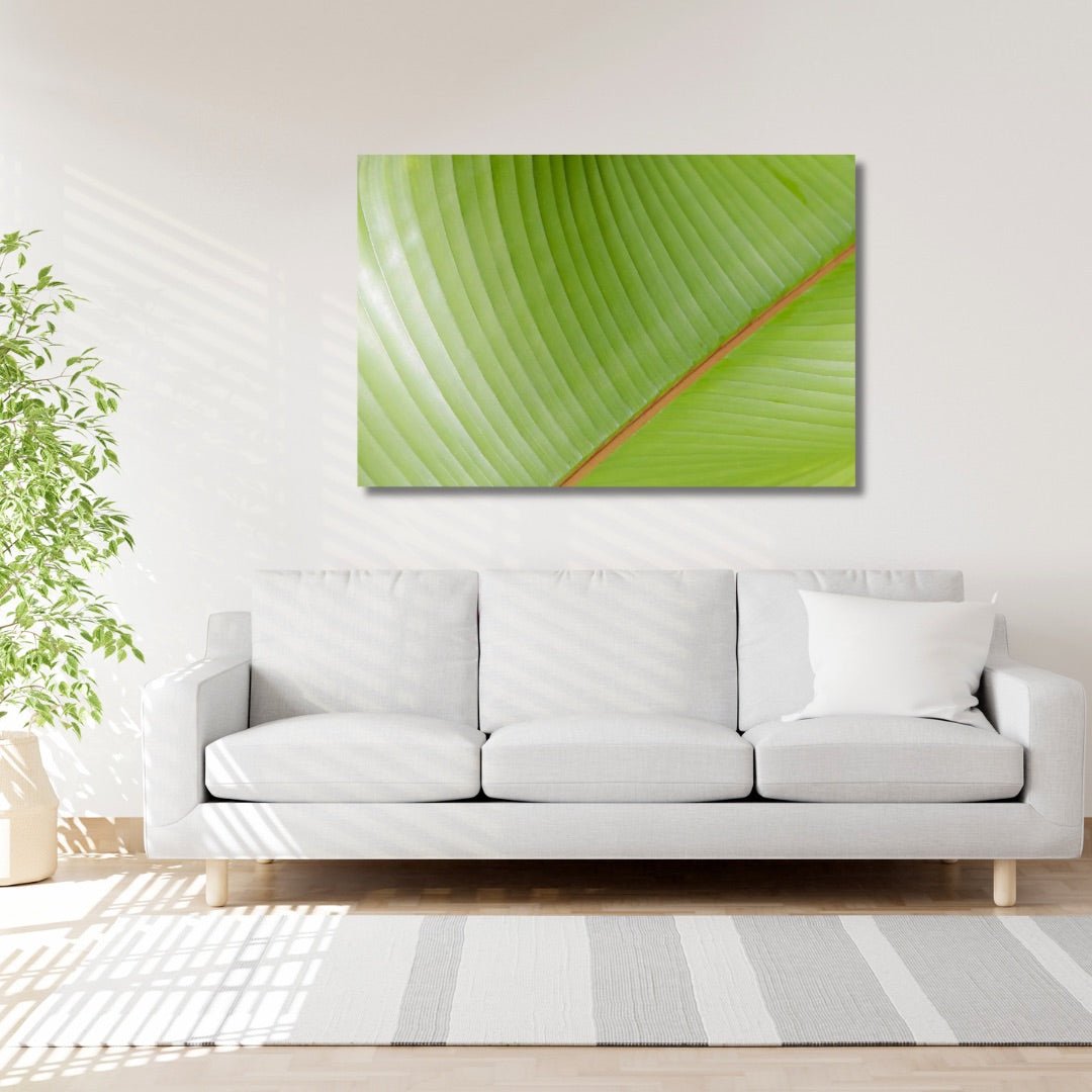 Large Color of Banana Leaves fine art photography above a white sofa, adding fresh green botanical color to a bright modern living room.