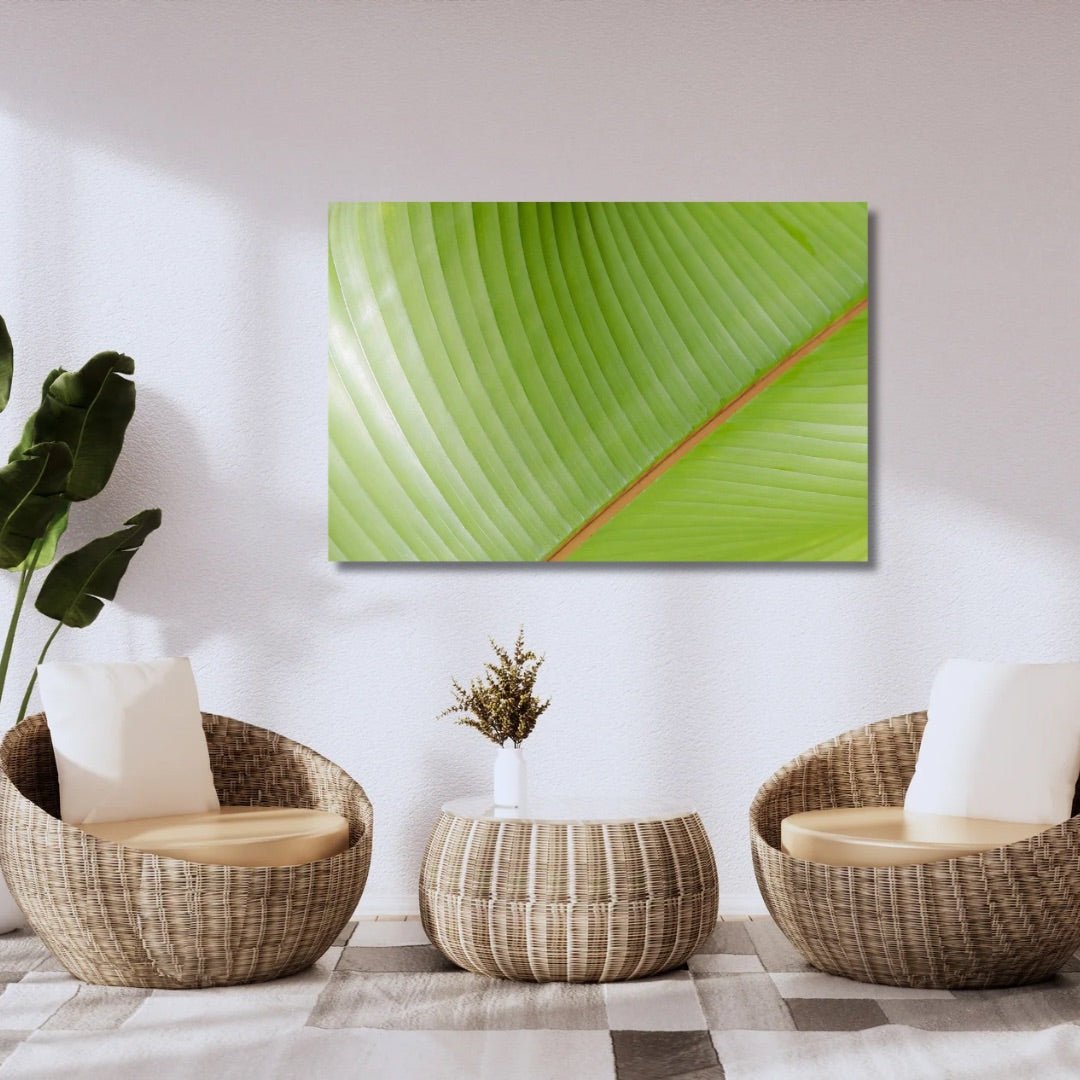 Color of Banana Leaves abstract botanical photography displayed above woven chairs in a modern organic sitting area with tropical-inspired design.