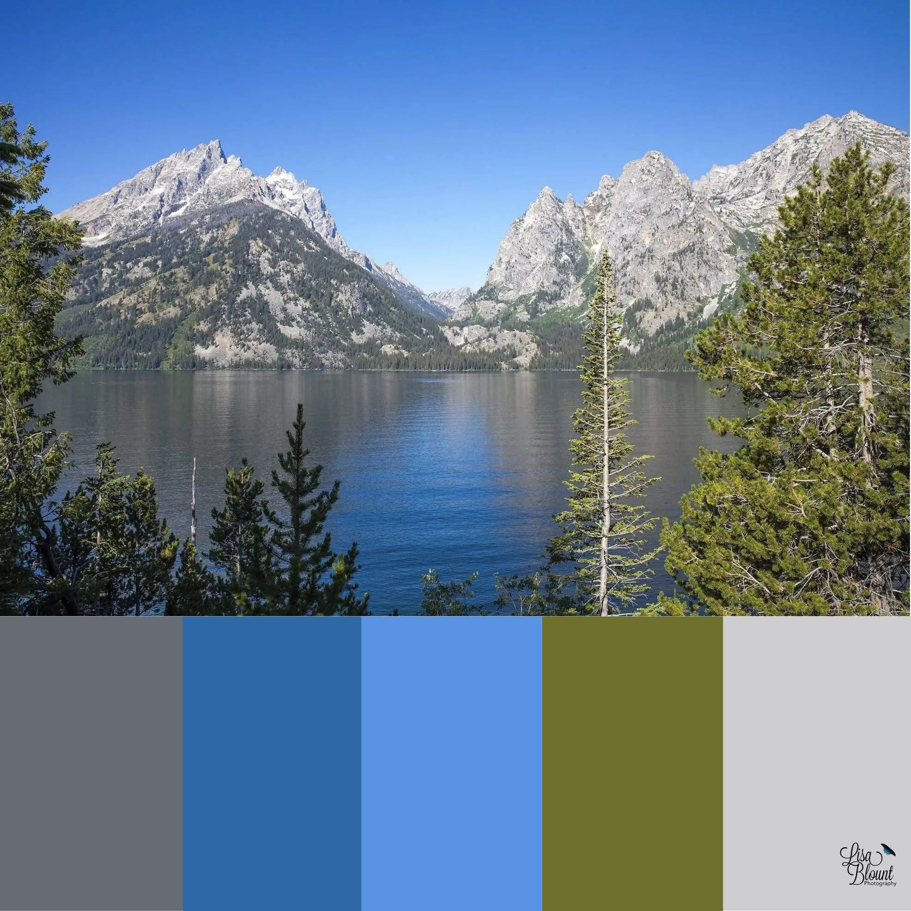 Jenny Lake photograph with coordinating color palette swatches showing blue, gray, and green tones.
