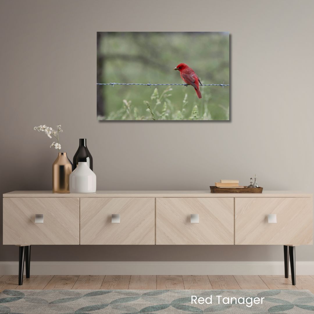 Red Summer Tanager bird wall art in a calm neutral room with light wood console and soft decor