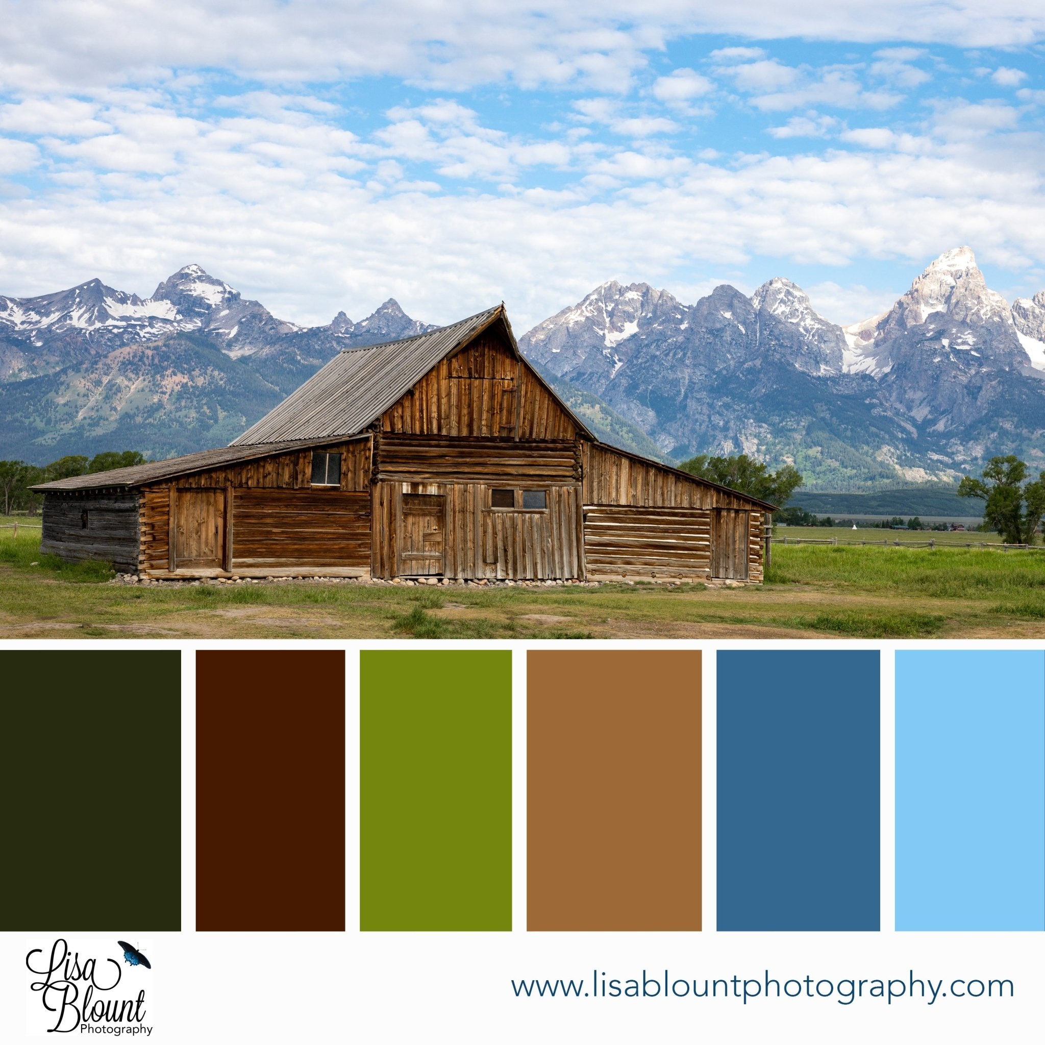 Color palette inspired by the TA Moulton Barn—featuring earth tones, sage greens, warm browns, and Tetons sky blues.