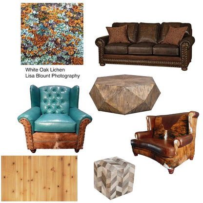 Best western themed mood board featuring abstract teal and orange art of lichen growing on a white oak tree